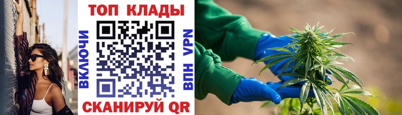 Купить наркотик аптеки Павловск Амфетамин  hydra как войти  БУТИРАТ  Гашиш  МЕФ  Каннабис 