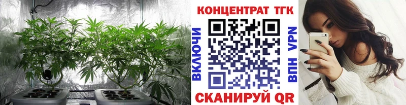 Дистиллят ТГК Wax Павловск