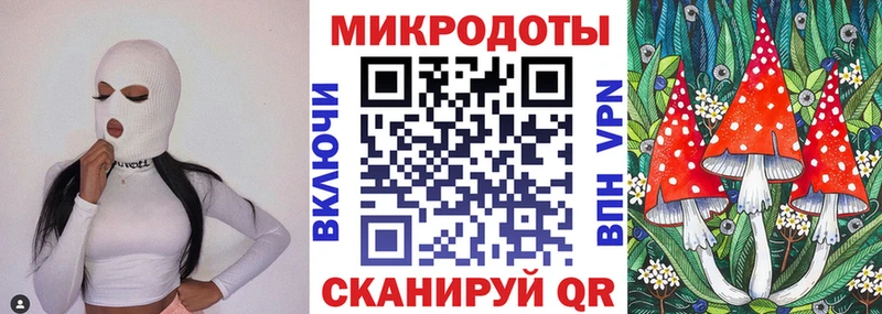 сколько стоит  Павловск  Галлюциногенные грибы Psilocybine cubensis 